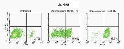 Flow Cytometry: pSIVA Apoptosis Detection Flow Cytometry Kit [NBP2-29611]